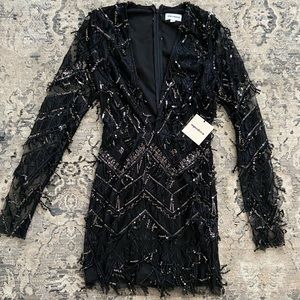 SUPERDOWN Deep V Minidress